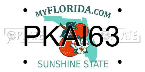 PKAI63 Florida License Plate
