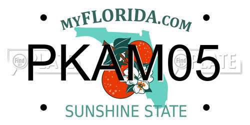 PKAM05 Florida License Plate