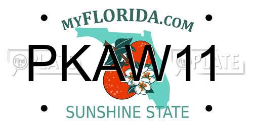 PKAW11 Florida License Plate