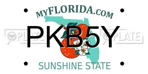 PKB5Y Florida License Plate