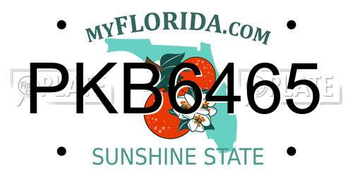PKB6465 Florida License Plate