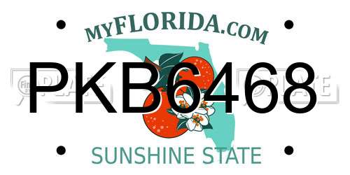 PKB6468 Florida License Plate