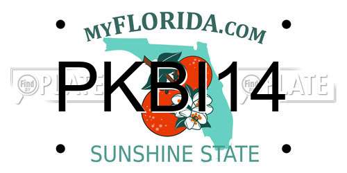 PKBI14 Florida License Plate