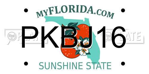 PKBJ16 Florida License Plate