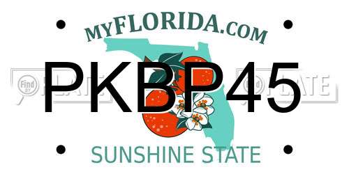 PKBP45 Florida License Plate