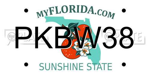 PKBW38 Florida License Plate