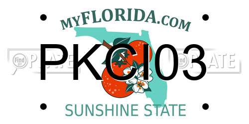 PKCI03 Florida License Plate