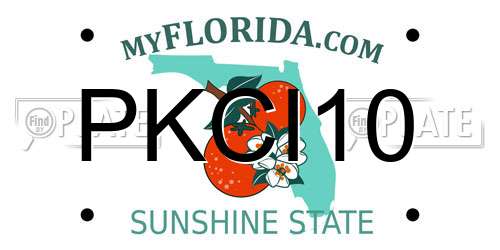 PKCI10 Florida License Plate