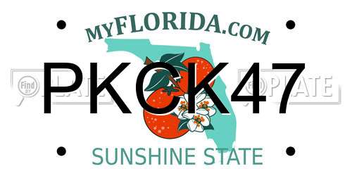 PKCK47 Florida License Plate