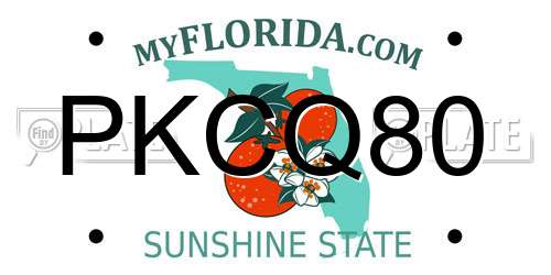 PKCQ80 Florida License Plate