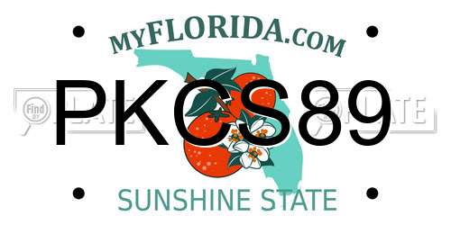 PKCS89 Florida License Plate