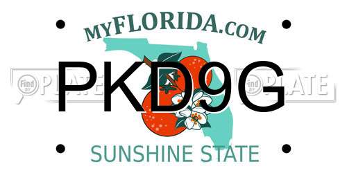 PKD9G Florida License Plate