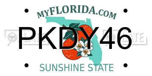 PKDY46 Florida License Plate