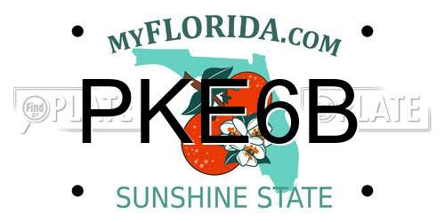 PKE6B Florida License Plate