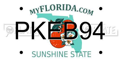 PKEB94 Florida License Plate