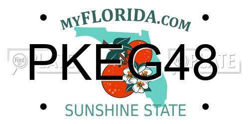 PKEG48 Florida License Plate