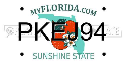 PKEJ94 Florida License Plate