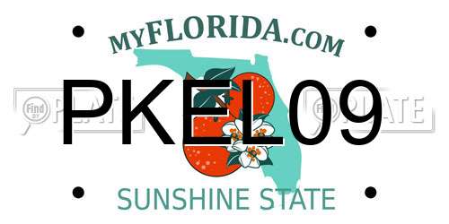 PKEL09 Florida License Plate