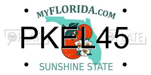 PKEL45 Florida License Plate