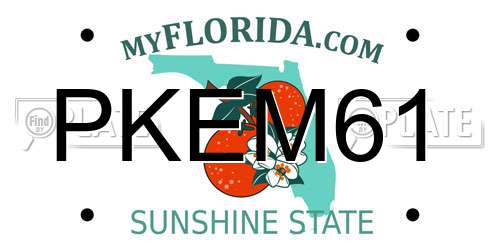 PKEM61 Florida License Plate