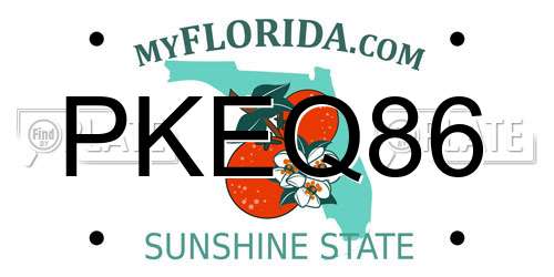 PKEQ86 Florida License Plate