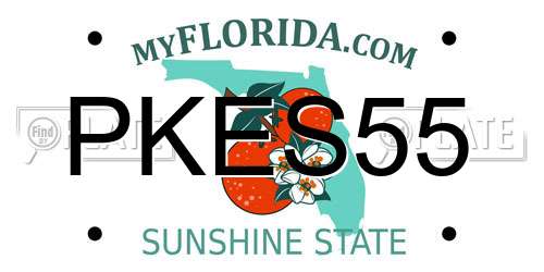 PKES55 Florida License Plate
