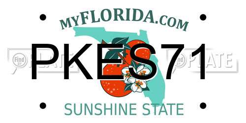 PKES71 Florida License Plate