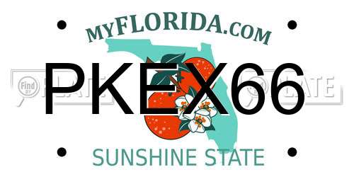 PKEX66 Florida License Plate