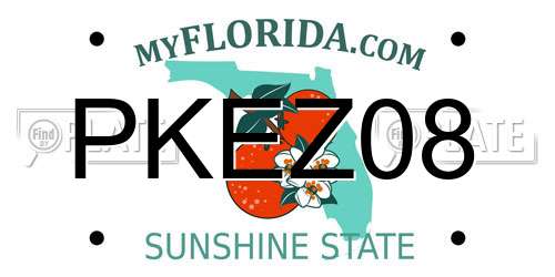 PKEZ08 Florida License Plate