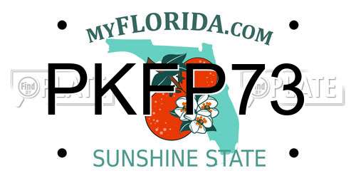 PKFP73 Florida License Plate