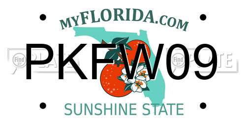 PKFW09 Florida License Plate