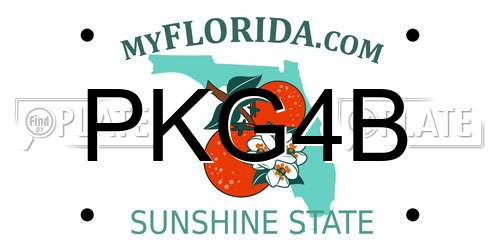 PKG4B Florida License Plate