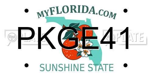 PKGE41 Florida License Plate