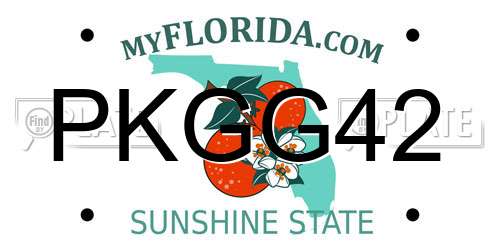 PKGG42 Florida License Plate