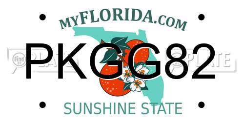 PKGG82 Florida License Plate