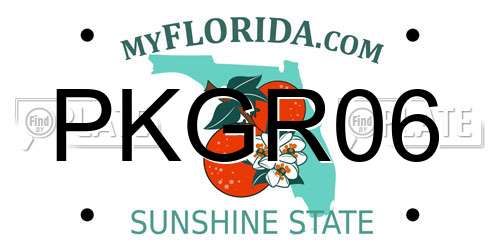 PKGR06 Florida License Plate