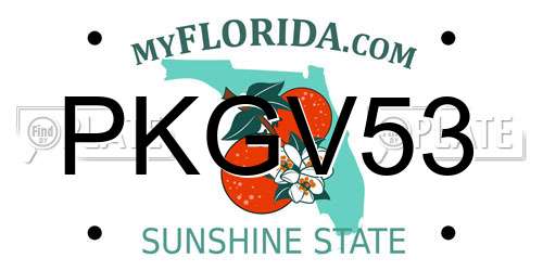 PKGV53 Florida License Plate