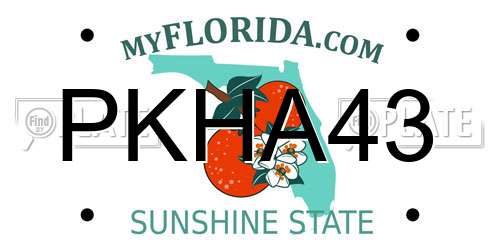 PKHA43 Florida License Plate