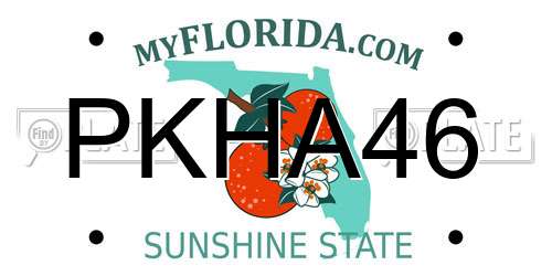 PKHA46 Florida License Plate