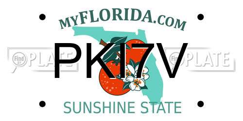 PKI7V Florida License Plate