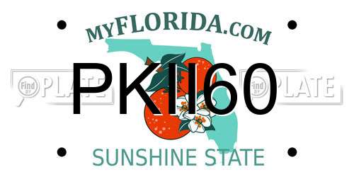 PKII60 Florida License Plate