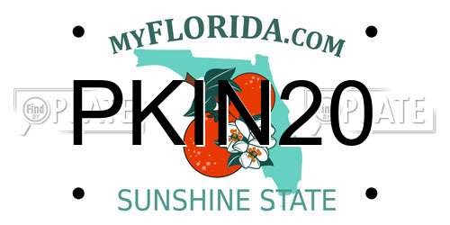 PKIN20 Florida License Plate