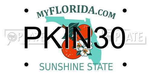 PKIN30 Florida License Plate