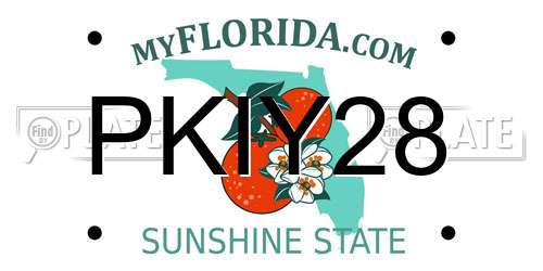 PKIY28 Florida License Plate