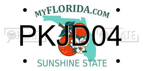 PKJD04 Florida License Plate