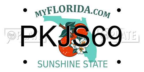 PKJS69 Florida License Plate