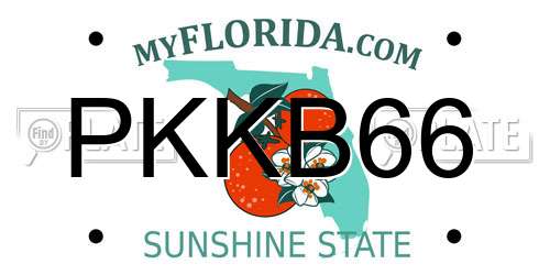 PKKB66 Florida License Plate