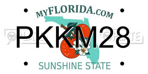 PKKM28 Florida License Plate