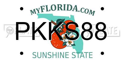 PKKS88 Florida License Plate