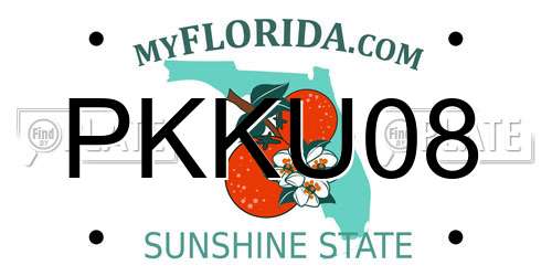 PKKU08 Florida License Plate